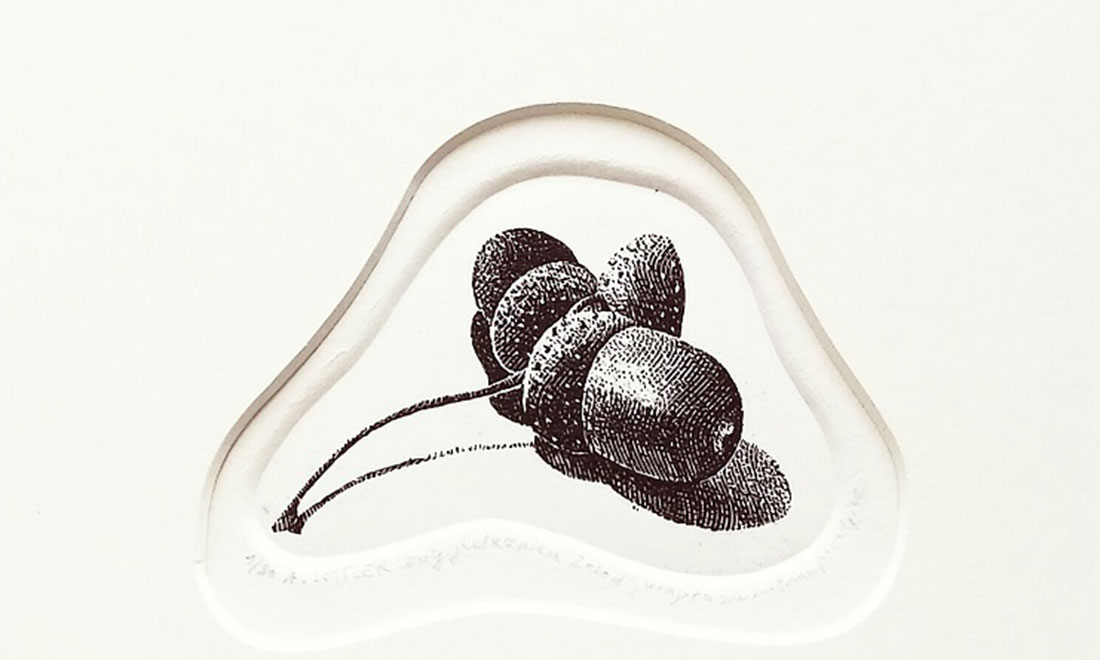 Acorn