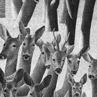 ROE-DEER-FAMILY-SMALL